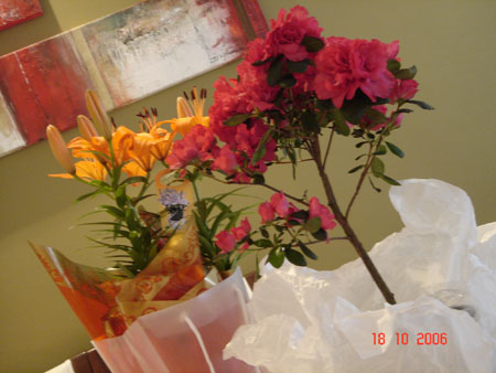 e3DSC02332