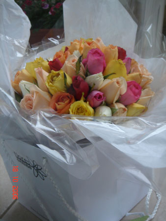 e4DSC02334