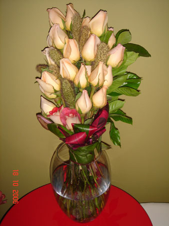 e5DSC02337